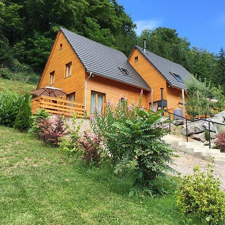 Le Chalet La Cigogne Et Le Chamois Мюнстер Экстерьер фото